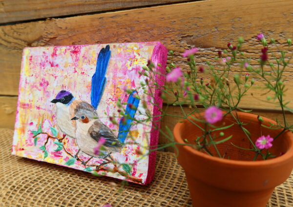 Purple-crowned fairywren