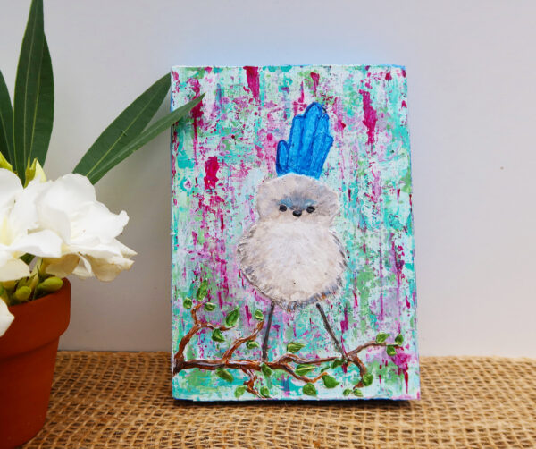 Splendid fairywren female