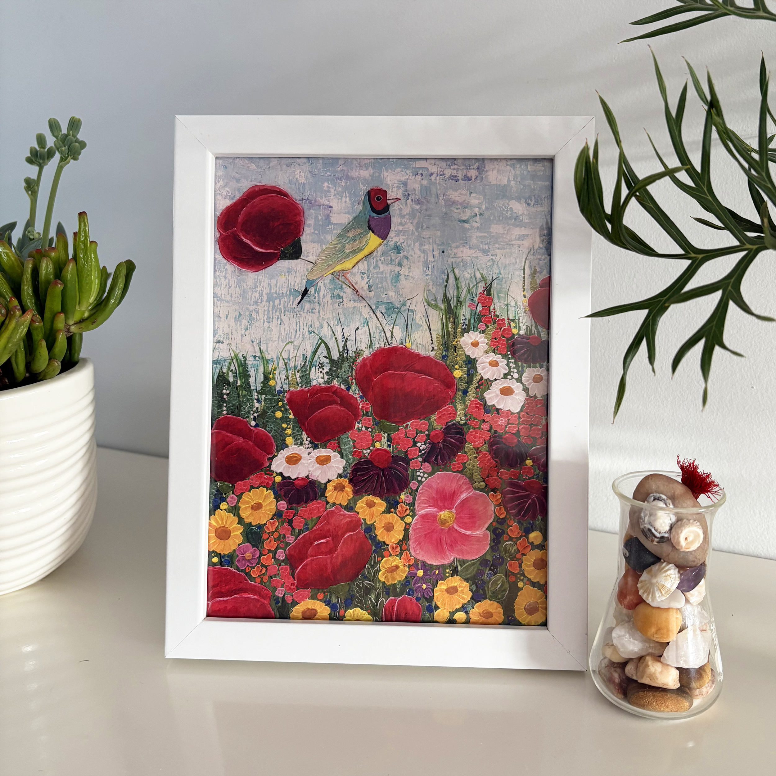 gouldian finch print in frame